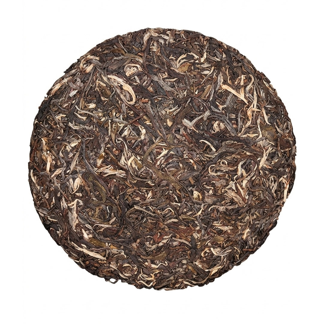 Century-Old Ancient Tree Tea from Xigui Old Village