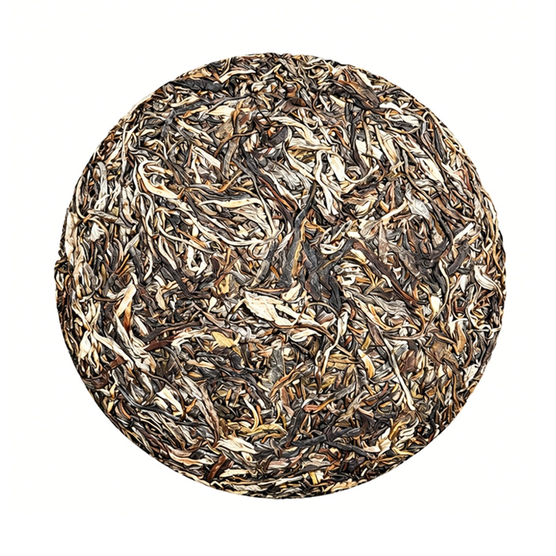 2024 Ancient Tree Pu-erh “Dongguo” Raw Tea