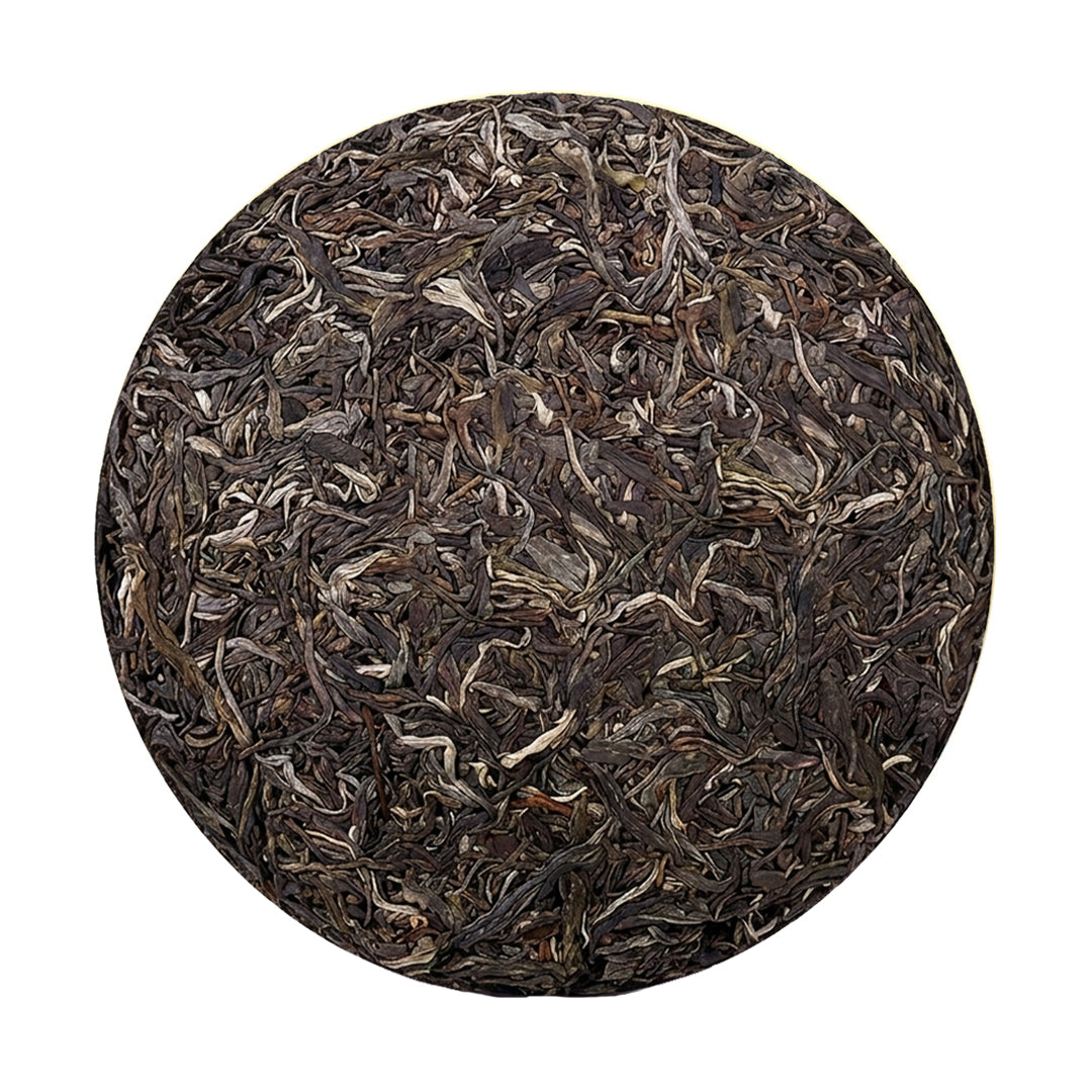 2023 Mangsheqing Ancient Tree Raw Pu-erh Tea
