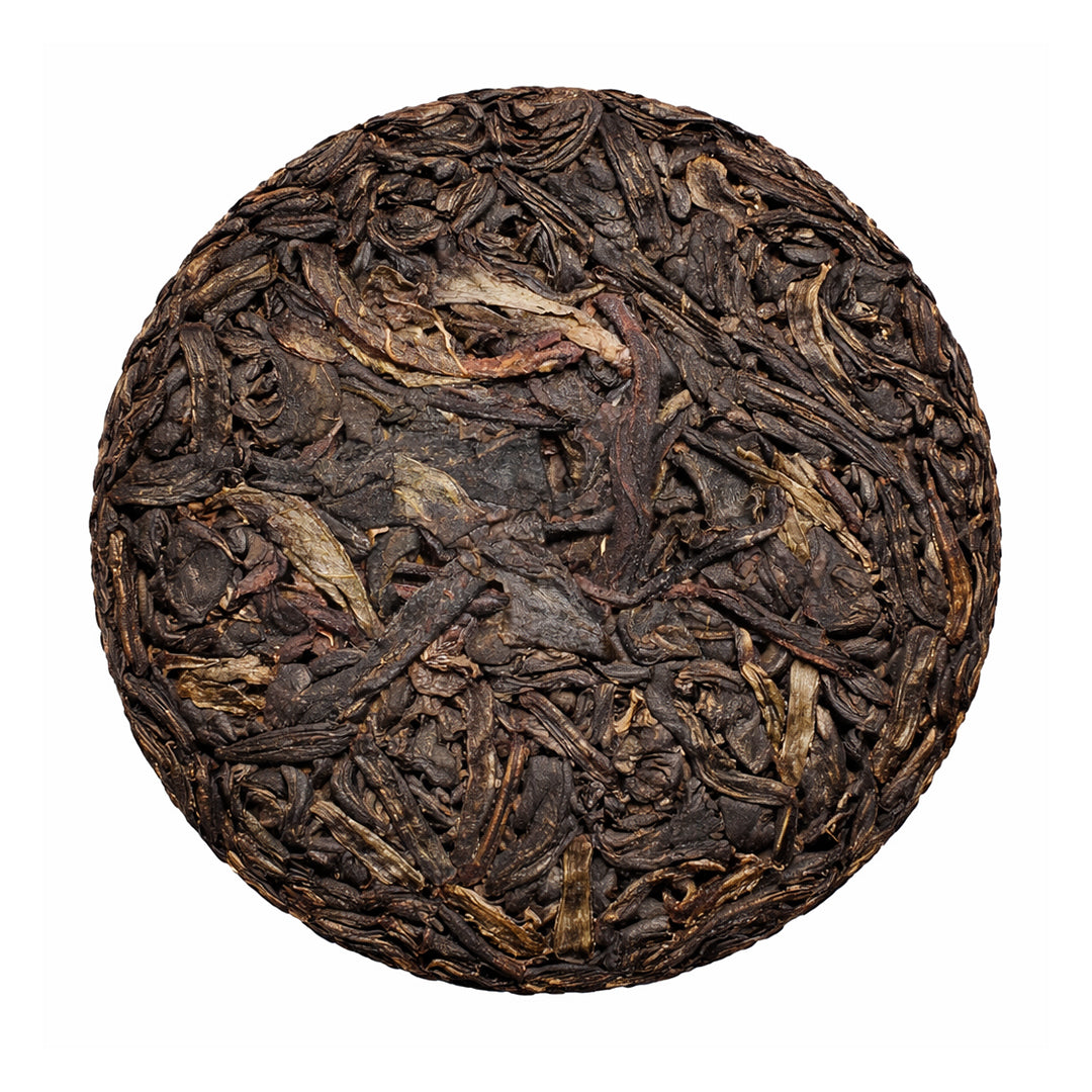 2023 "Cloud & Mist" Ancient Tree Tea