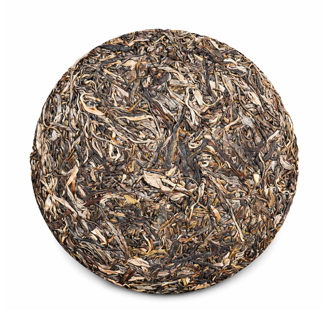 2025 New Ban Zhang Ancient Tree Spring Tea