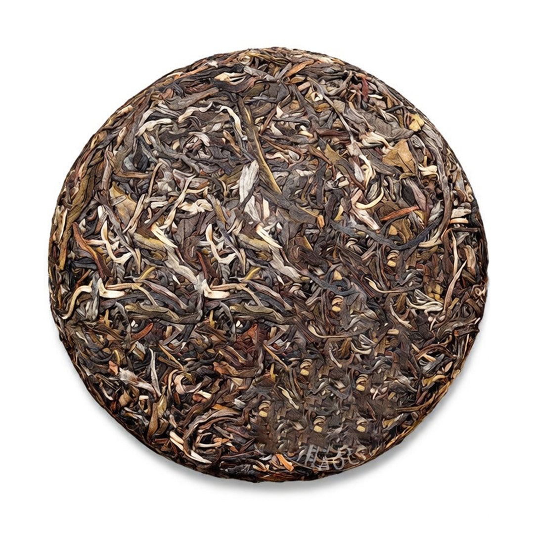2024 Yiwu Zhengshan Ancient Tree Raw Pu-erh Tea Cake