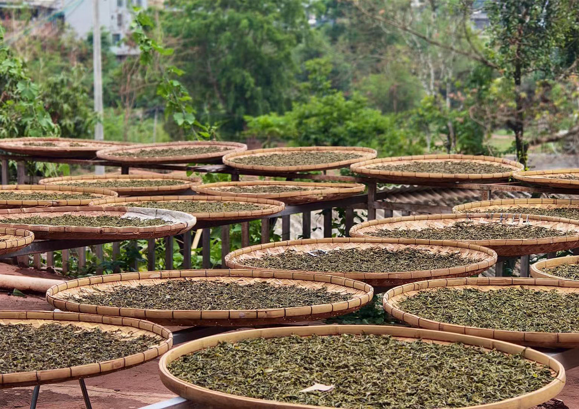 Where Tea Begins, Silence Follows