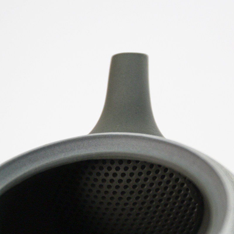 Japanese Tokoname Ware Sakura Kyusu Teapot