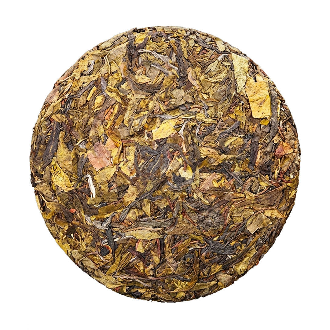 2023 Bingdao Golden Leaf Raw Pu-erh Tea (Ancient Tree Sheng)