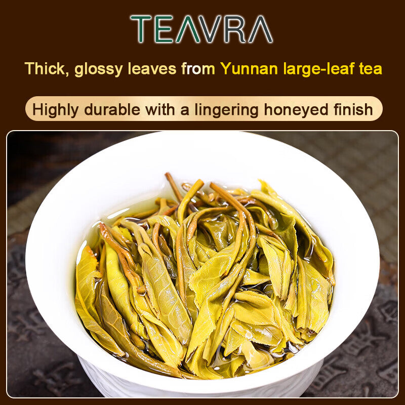 2026 Yiwu Ancient Tree Raw Pu-erh Tea – Sourced from 200-Year-Old Trees