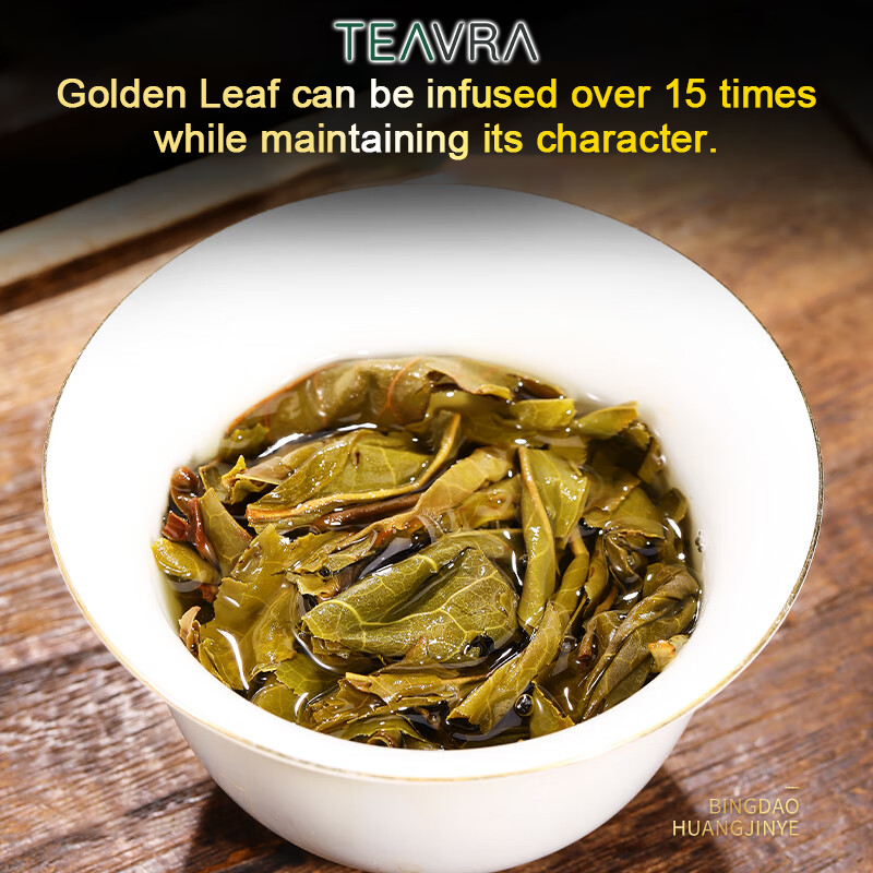 2023 Bingdao Golden Leaf Raw Pu-erh Tea (Ancient Tree Sheng)