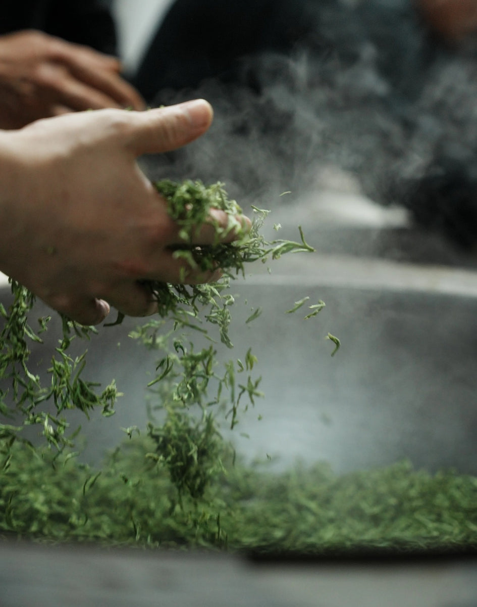 Tea Production Process Explained | How Tea Is Made from Leaf to Cup